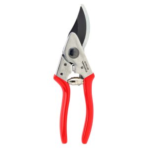 Important Pocket Pruner for Your Yard